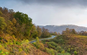 Dukes Pass