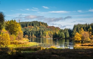 Loch Lomond National Park