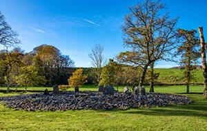 Temple Wood